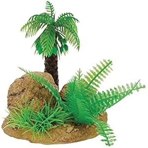 repstyle Pflanze mit Rock Boden,