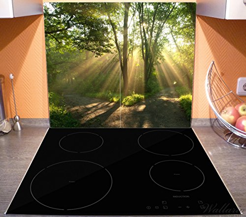 Wallario Herdabdeckplatte / Spritzschutz aus Glas, 2-teilig, 60x52cm, für Ceran- und Induktionsherde, Weggabelung im Sonnenschein - 3