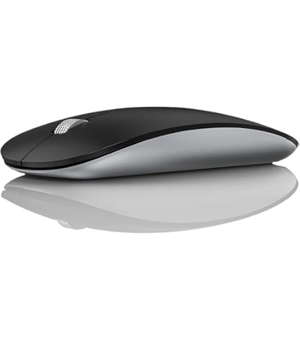 Amazon.in: Buy Apple Magic Mouse - Black Multi-Touch Surface - USB