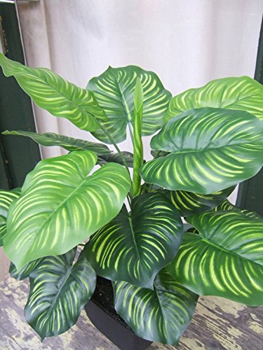 Künstliche Calathea Pflanze im Topf ca. 45cm -Top Qualität - 2