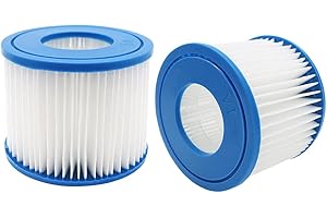 Benfosh Filtro de piscina de repuesto para Bestway tamaño VI compatible con Lay-Z-Spa, Miami, Vegas, Palm Spri NGS, Paris Mónaco (2 unidades)