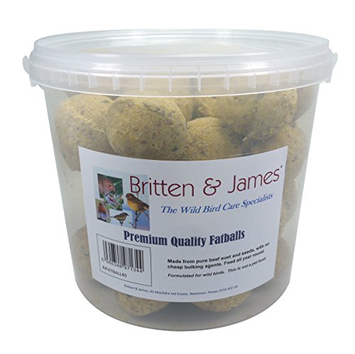 Britten & James 40 Sfere grasse di qualità Premium in Una Comoda Vasca da Viaggio richiudibile, Fresca e Senza residui