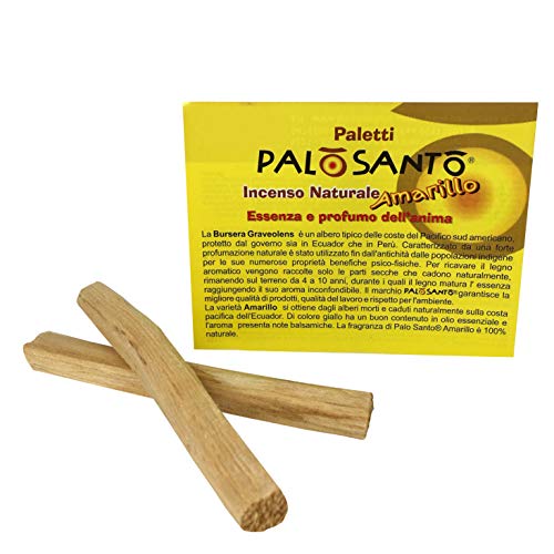 Incienso Natural Palo Santo - Palitos Variedad Amarillo - 2 Palitos - Aroma balsámico y Fresco - Original Bursera Graveolens ecuatoriano - Recupera Buena energía y alegría!