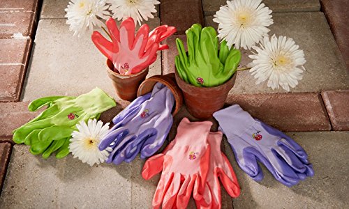 G & F 15226 M Damen Garten Handschuhe, mittel, verschiedene Farben (6 Stück) - 2