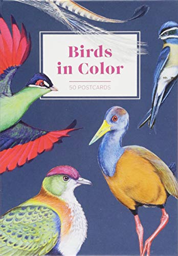 Birds in Color: 50 Postcards