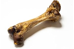 NATURAL TREATS BY PET TREATS WHOLESALE Natural Treats Ostrich Dino Bone for Dogs (1pc) -Dog Bone Pack Chew Range