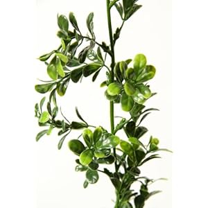 Buchsgirlande 180cm, 88 Blätter