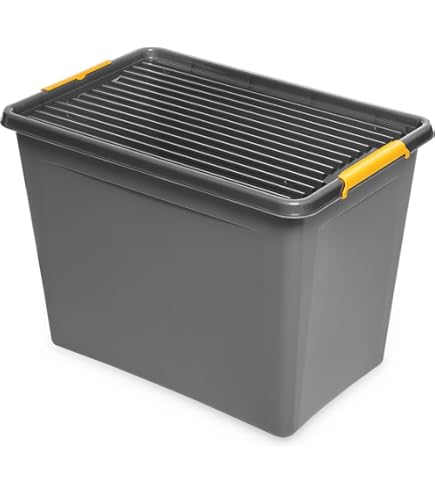 Koziol Connect Box 2 Mit Deckel 2 L – Nature Ash Grey, Biozirkulärer Kunststoff, Stapelbar