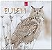 MF-Kalender EULEN 2019 by Bildagentur Redaktion Verlagshaus Würzburg