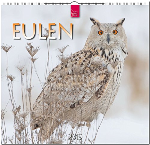 MF-Kalender EULEN 2019