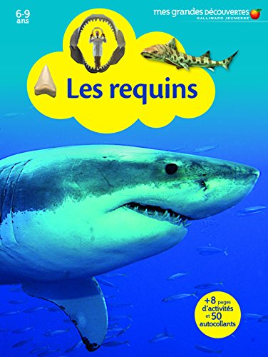 Download Les requins