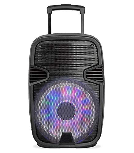 Altavoz SAKKIO 2215DSP Altavoz portatil de 15"