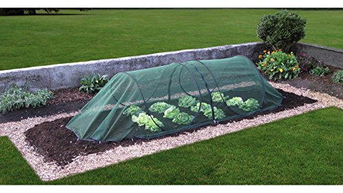 Universalschutznetz Pflanzenschutz Tunnel modular grün