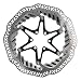 Produktbild Jagwire Elite Cr1 Bremsscheiben, 180 mm
