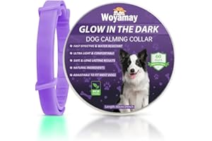 Woyamay Collare Calmante per Cani, Collare Luminoso per Cani Calmante Anti-ansia Regolabili, Collare Cane ai Feromoni Calmante Naturale a 60 Giorni per Cani di Tutte Le Taglie, Viola