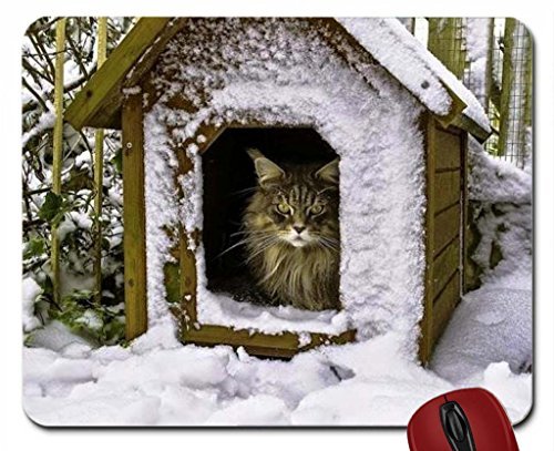 Preisvergleich Produktbild HES IN THE DOG HOUSE AGAIN mouse pad