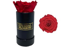 Eternal Blossom Preserved Real Infinity Rose | Lasts Over A Year | Black Box | With Gift Box (Cherry Red)