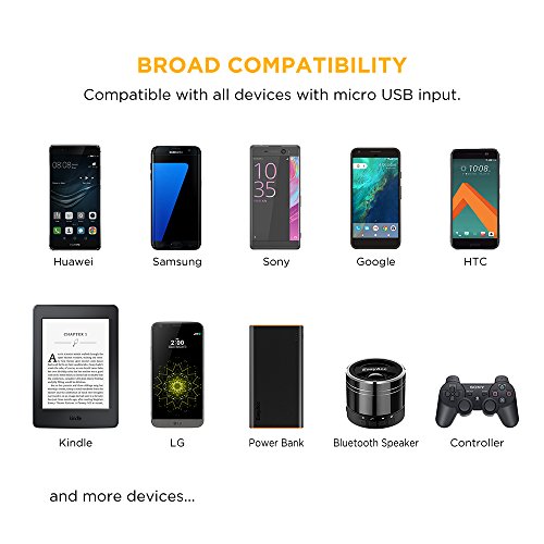 EasyAcc Â® Micro caricabatterie AC USB 5V 2A adattatore del caricatore UE per quasi tutti gli smartphone telefoni cellulari e Android Tablet PC MP3 MP4 GPS Nero