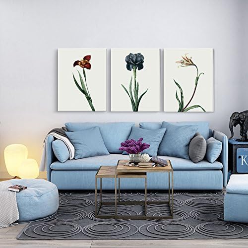 Paintsh Decorative American High-End Coffee Dining Room Living Room Sofa Bed Aisle Corridor Wall Porch Simple Fresh Frameless Paintings Plants Watercolor Color Orchid German Iris, 40 * 60 X 3, German Iris