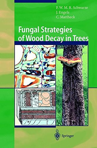 Télécharger Fungal Strategies of Wood Decay in Trees PDF Ebook En Ligne