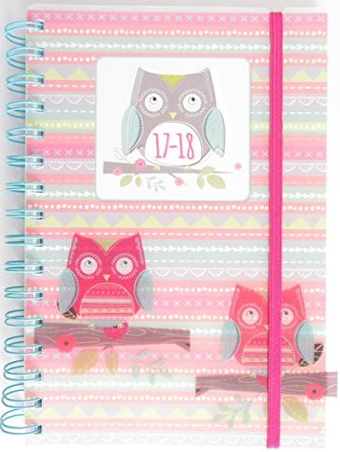 2017 - 2018 A5 PVC Academic Diary OWLS Wiro Page a Day