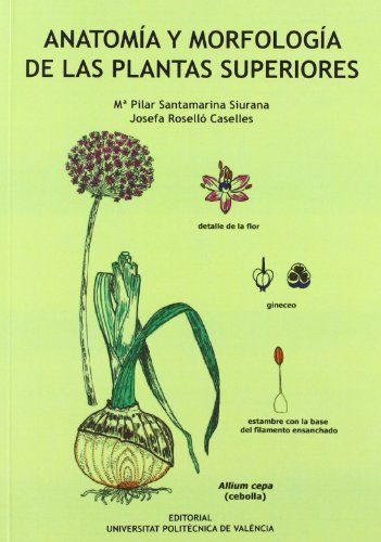 Download ANATOMÍA Y MORFOLOGÍA DE LAS PLANTAS SUPERIORES (Académica) Download ANATOMÍA Y MORFOLOGÍA DE LAS PLANTAS SUPERIORES (Académica)