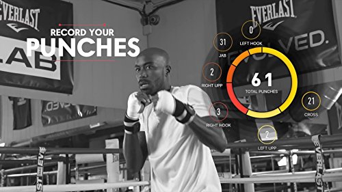 everlast punch tracker