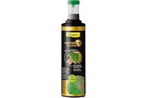 Flower - Revital Plus Césped Líquido de 1L | Recuperador de Césped Envejecido | Efecto Preventivo | Con Aminoácidos | Tapón con Dosificador, No aplica color, 7x7x29 cm, Abono