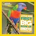 Produktbild National Geographic Little Kids First Big Book of Birds (National Geographic Little Kids First Big Books)
