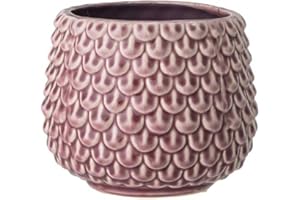 Nordring Vaso Pino - per Fiori da Interno e Piante da Interno, Piante grasse, Cactus, Orchidee M (13,5 cm ø), Malva, Ceramica Gres