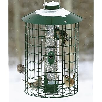 Duncraft Squirrel Proof Selective Bird Feeder Amazon Co Uk
