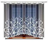 transparente Gardinen außergewöhnliche Design