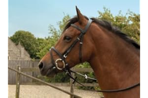 WINDSOR SMITH Windsor Leather Bridle With Flash Noseband (Havana, Full)