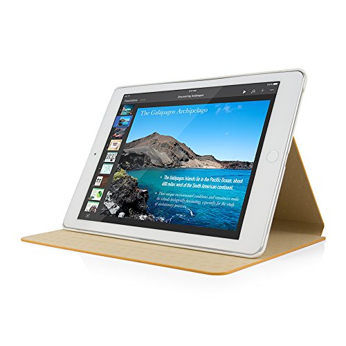 iPad Air 2 Hülle, Deenor Colour Series Premium PU Leder Ultra Slim Light Weight Auto aufwachen / Schlaf Funktion Schutzhülle Hülle für Apple iPad Air 2 iPad 6. (Orange circles) - 3