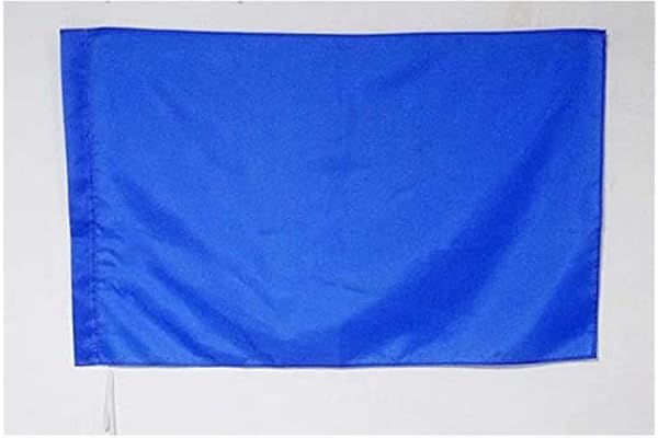 AZ FLAG - Drapeau course automobile bleu - 90x60 cm - Drapeau De Commissaire 100% Polyester Avec Fourreau et Cordelette - Pavillon 45 g