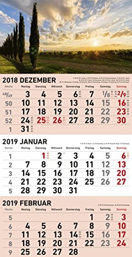 Preisvergleich Produktbild 3-Monatsplaner 2019 - Kombiplaner, Wandkalender - 23,7 x 45 cm