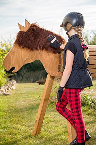 Wooden Standing Horse Toy | Play Horse XXL | Alternative to Large Rocking Horse | Handmade in Germany | Highest quality from Wildkinder | Robust, Stable, Secure | For Outdoors, Garden and Indoors | Weatherproof Glaze | Delivered Pre-assembled | Very Simple to Assemble | Color: Medium Brown with Dark Brown Mane reviews Wooden Standing Horse Toy | Play Horse XXL | Alternative to Large Rocking Horse | Handmade in Germany | Highest quality from Wildkinder | Robust, Stable, Secure | For Outdoors, Garden and Indoors | Weatherproof Glaze | Delivered Pre-assembled | Very Simple to Assemble | Color: Medium Brown with Dark Brown Mane