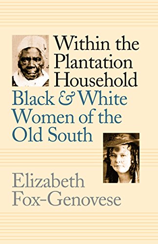 Within The Plantation Household Black And White Women Of The Old South Gender And American Culture English Edition - 