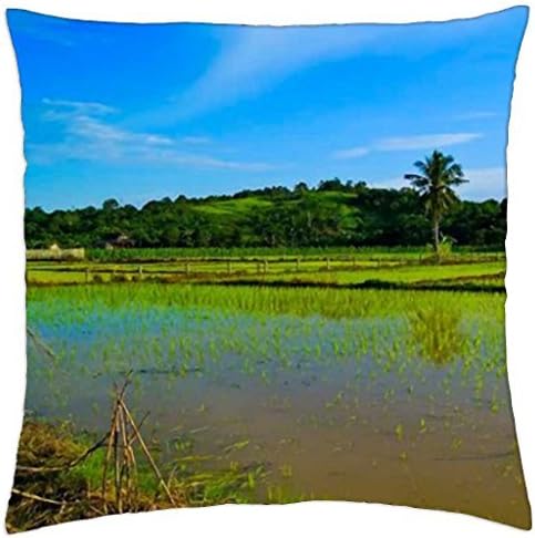 Indonesia Indah - Throw Pillow Cover Case (16" x 16")