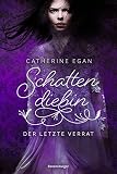Cover zum Buch Schattendiebin: Der letzte Verrat