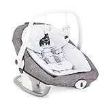 Joie Serina 2in1 Schaukel und Babywippe Khloe & Bert Gray