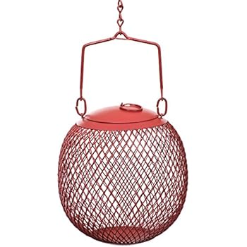 Fallen Fruits Ltd Acorn Bird Feeder Acorns Food Birds And
