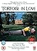 Tortoise in Love [DVD]