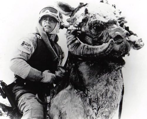 Collectible Star Wars Episode V The Empire Strikes Back: B/W Still Luke On Tauntaun (Close Up)