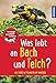 Produktbild Was lebt an Bach und Teich Kindernaturführer: 85 Tiere und Pflanzen am Wasser