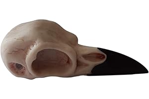 EUROFUSIONI Teschio di corvo ciondolo vichingo. Amuleto Vikings animale guida simbolo sacro di Odino. Idea Regalo originale appassionati accessori vichinghi, pirati, Cosplay, Fantasy. Modello unico artigianale