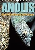 Anolis - Kleine karibische Eidechsen (Wandkalender 2016 DIN A4 hoch): Karibische Eidechsen wunderschön in Szene gesetzt (Monatskalender, 14 Seiten ) (CALVENDO Tiere) by 