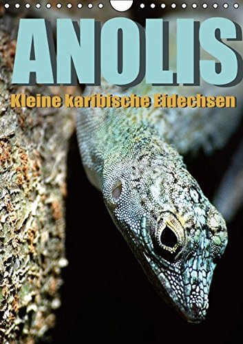 Anolis - Kleine karibische Eidechsen (Wandkalender 2016 DIN A4 hoch): Karibische Eidechsen wunderschön in Szene gesetzt (Monatskalender, 14 Seiten ) (CALVENDO Tiere)