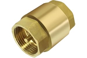 ATMWM Messing Rückschlagventil 3/4 Zoll, DN20 Rückflussverhinderer mit Innengewinde, Rostfreier Rückflussverhinderer für Pumpe, Brunnen, Waschmaschine, Garten, Regentonne, Fass