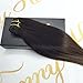 Sunny Dip-Dye Color Hair Extensions #1b Natural Black to #4 Chocolate Brown Remy Ombre Clip in Hair Extensions 120gram Full Set 20inch